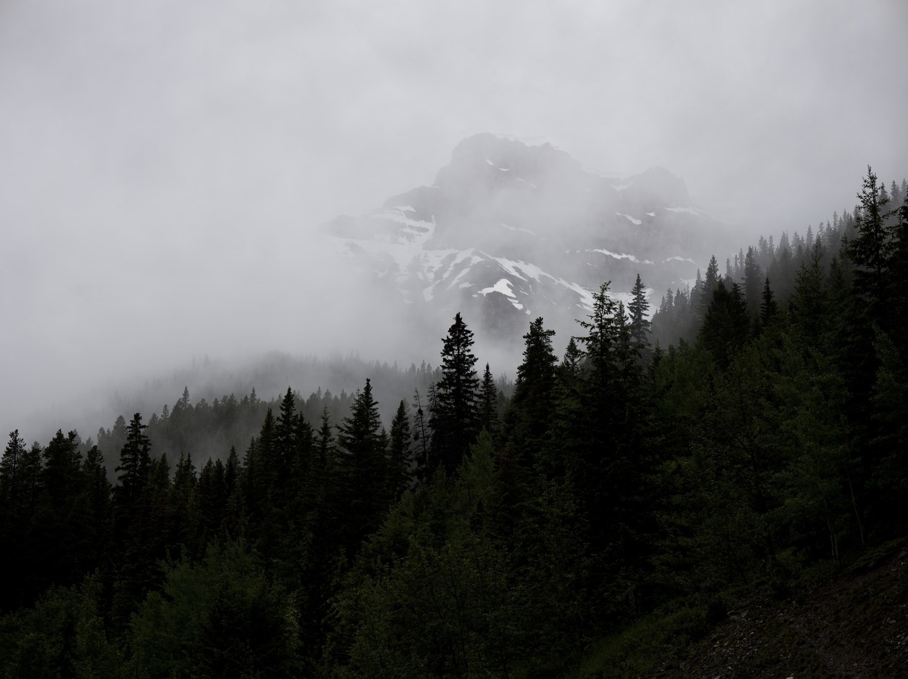Snowy peak in mist above a dark forest