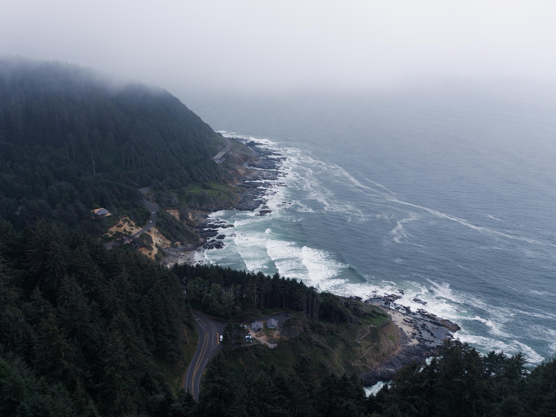 Foggy forested coastline seen from above