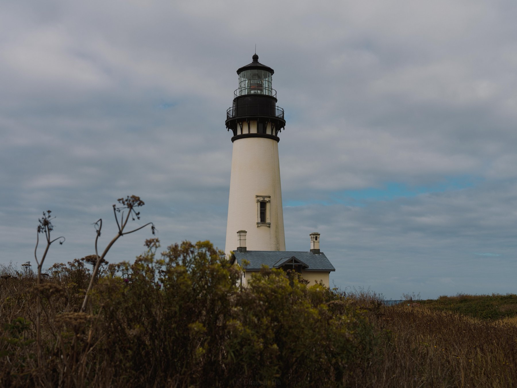 White lighthouse above coastal shrubs