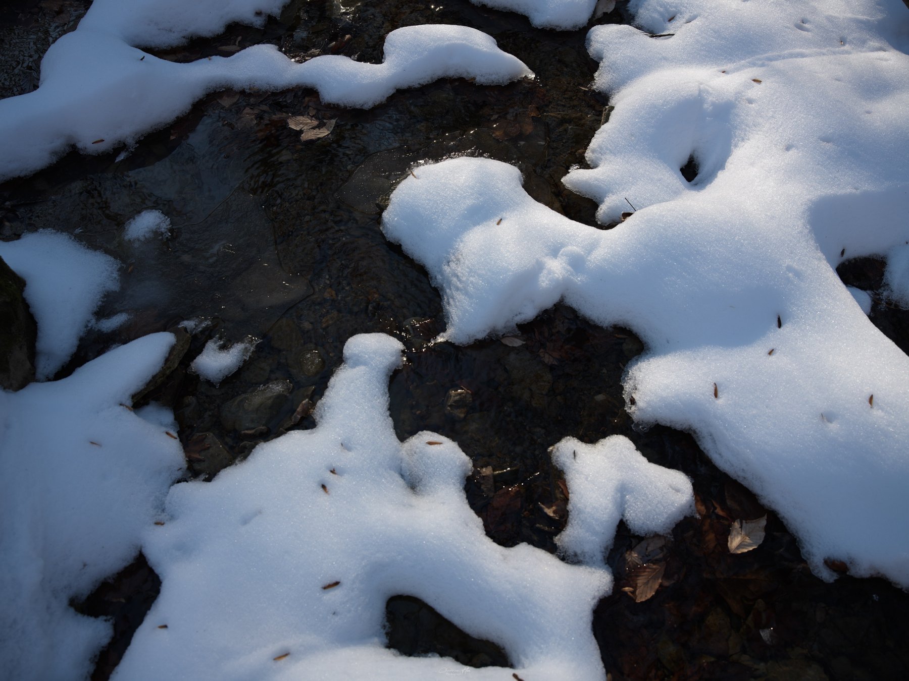 Snow over a dark stream