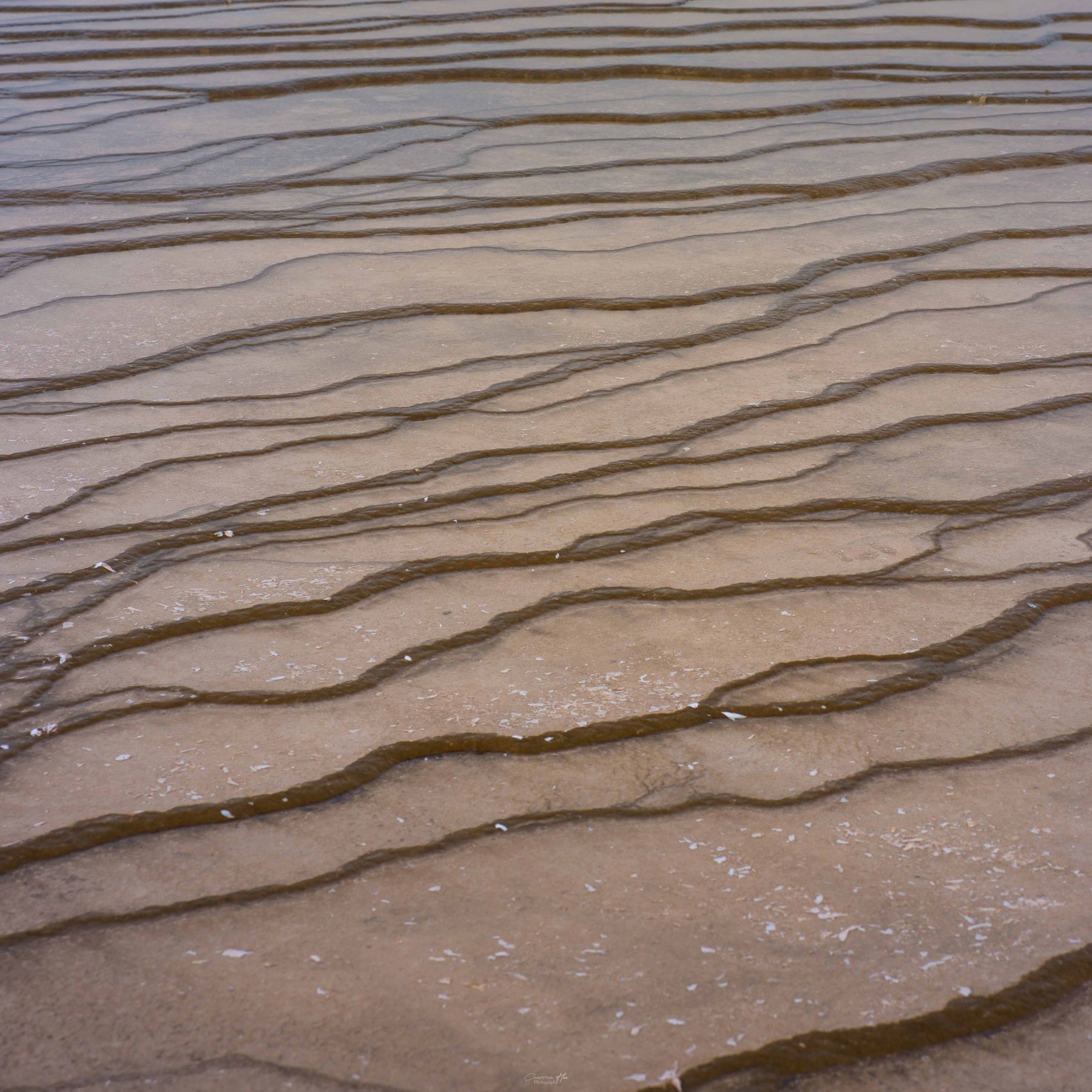 Terraced mineral ripples